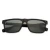 Full Rim Wayfarer Vincent Sunglasses